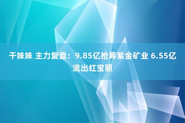 干妹妹 主力复盘：9.85亿抢筹紫金矿业 6.55亿流出红宝丽