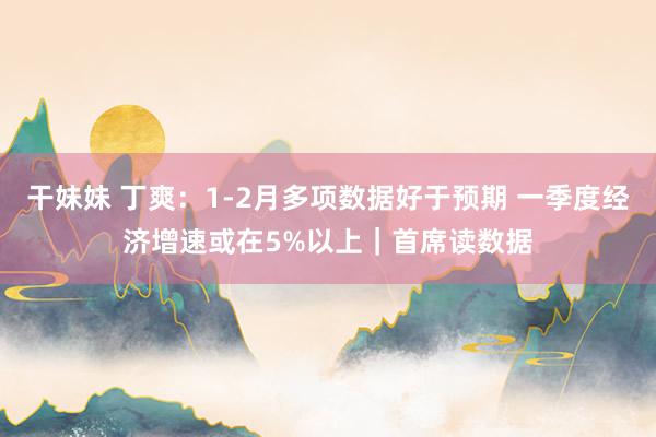 干妹妹 丁爽：1-2月多项数据好于预期 一季度经济增速或在5%以上｜首席读数据