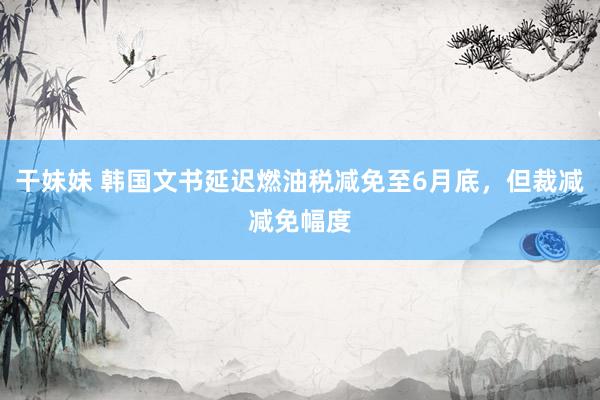 干妹妹 韩国文书延迟燃油税减免至6月底，但裁减减免幅度