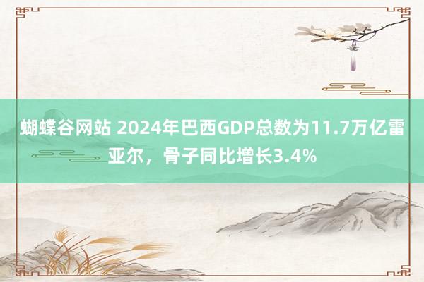 蝴蝶谷网站 2024年巴西GDP总数为11.7万亿雷亚尔，骨子同比增长3.4%