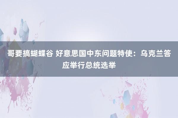 哥要搞蝴蝶谷 好意思国中东问题特使：乌克兰答应举行总统选举