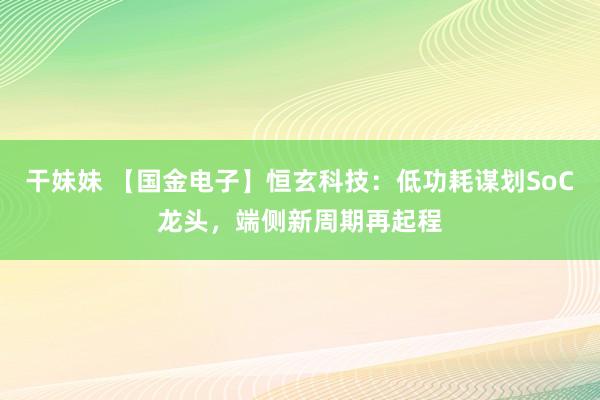干妹妹 【国金电子】恒玄科技：低功耗谋划SoC龙头，端侧新周期再起程