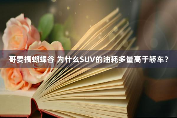 哥要搞蝴蝶谷 为什么SUV的油耗多量高于轿车？