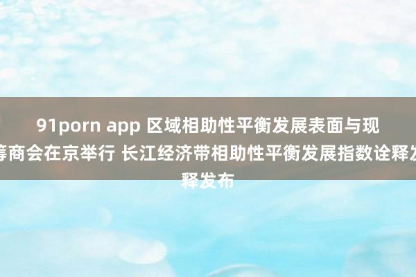 91porn app 区域相助性平衡发展表面与现实筹商会在京举行 长江经济带相助性平衡发展指数诠释发布