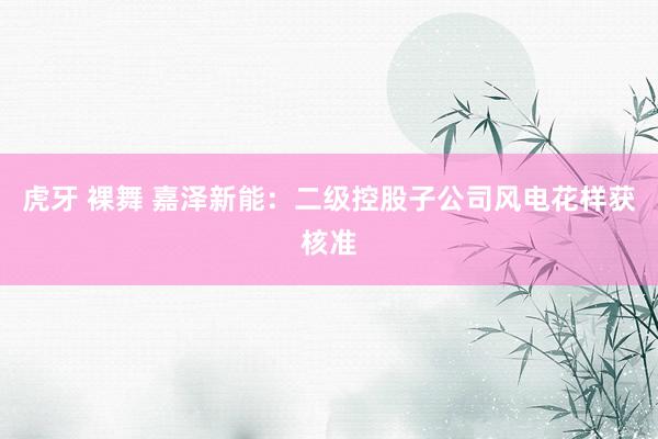 虎牙 裸舞 嘉泽新能：二级控股子公司风电花样获核准