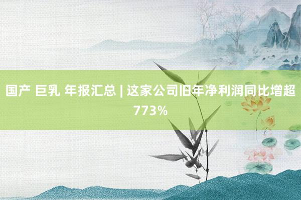 国产 巨乳 年报汇总 | 这家公司旧年净利润同比增超773%