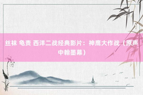 丝袜 龟责 西洋二战经典影片：神鹰大作战（原声中翰墨幕）